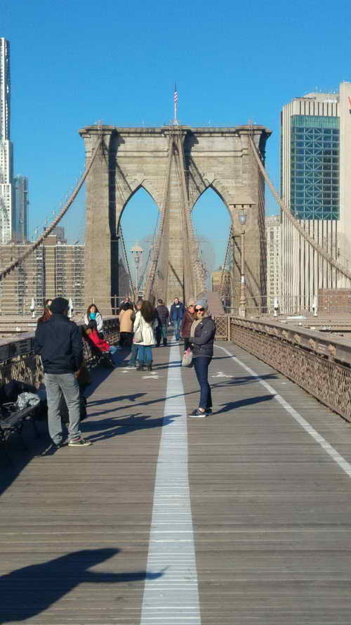NYC_2017-11-24 10-21-11_CELL_20171124_102111